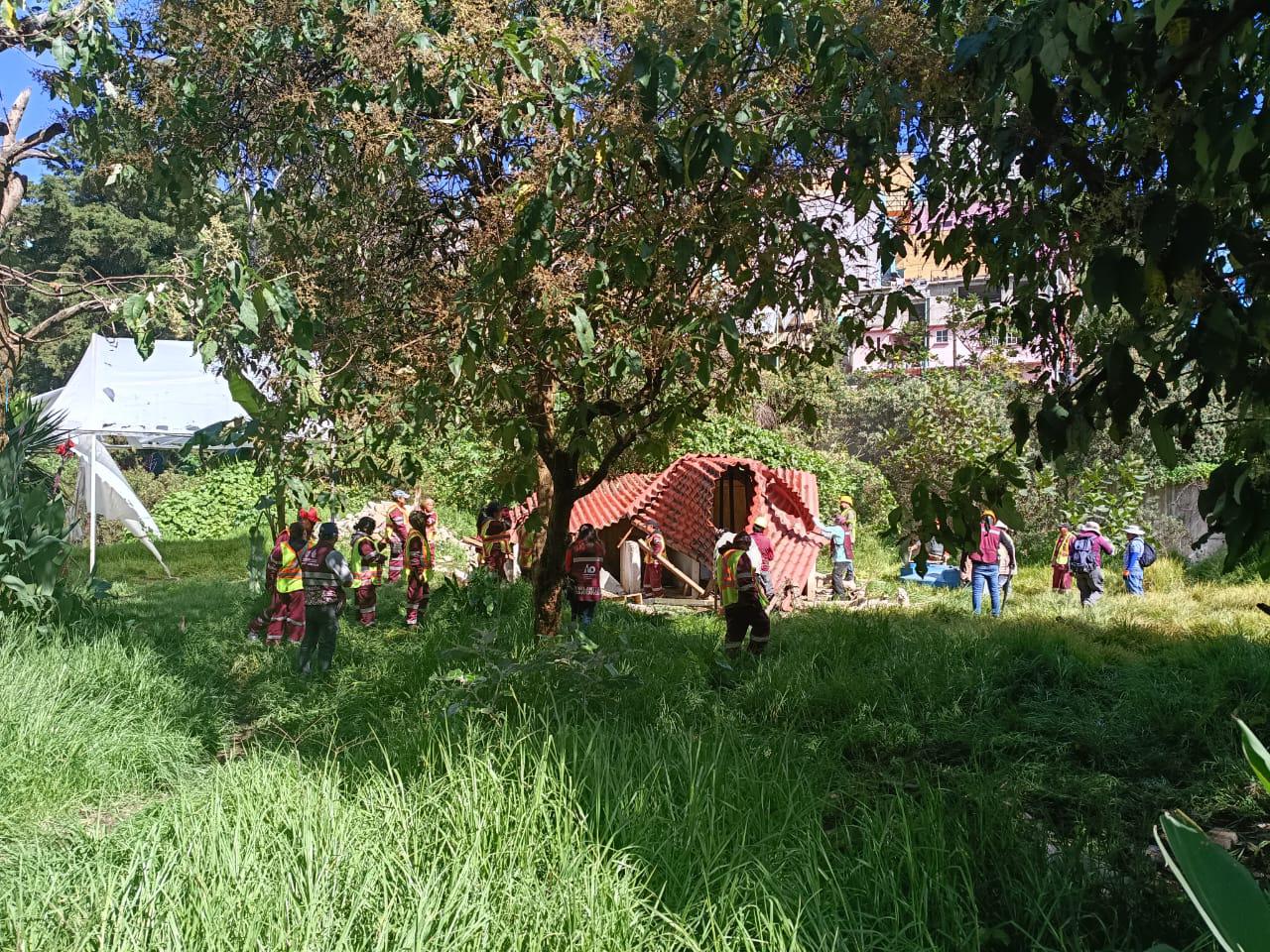 De concreto a naturaleza: Barranca Mixcoac recupera su ecosistema