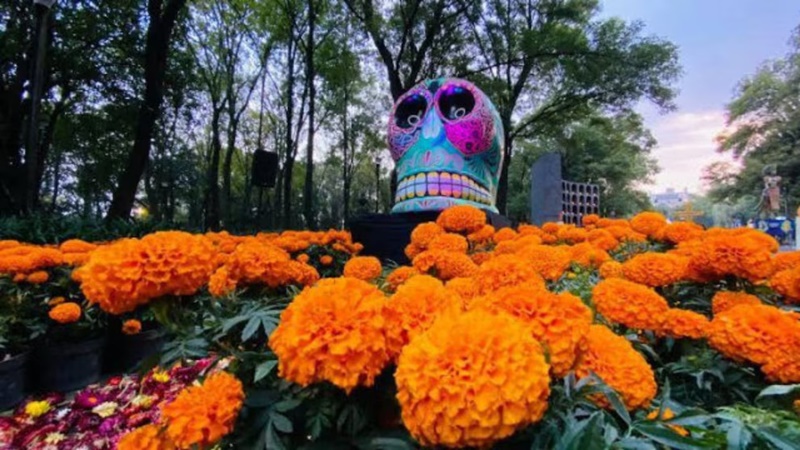 Chapultepec se llena de tradición y música por el Día de Muertos 2025