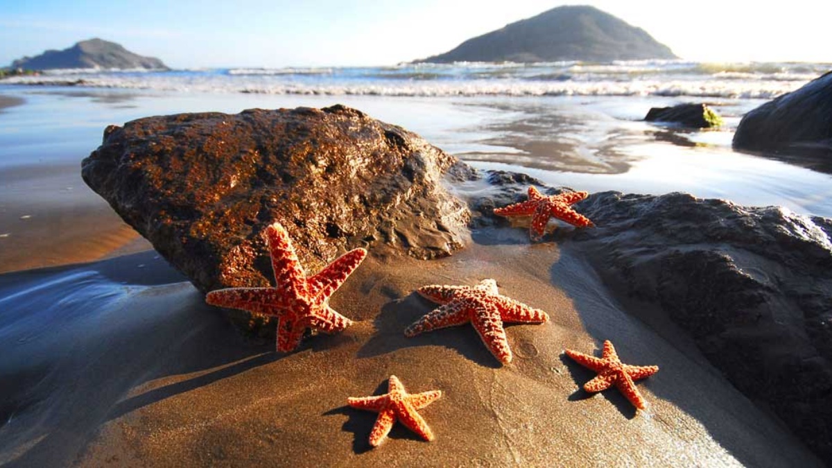 Más allá de Mazatlán: Las mejores playas para descubrir en Sonora