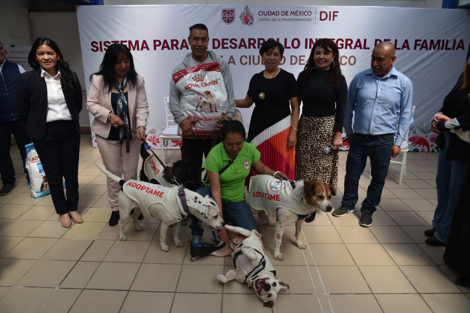 Apoyo inédito en la capital: DIF CDMX beneficiará a fundaciones de protección animal